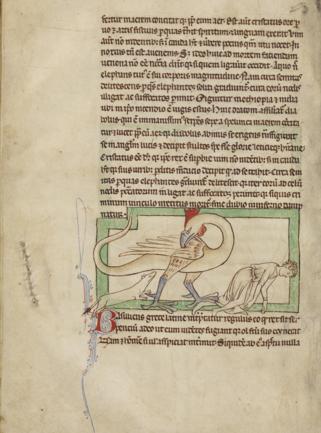 Where does the description go